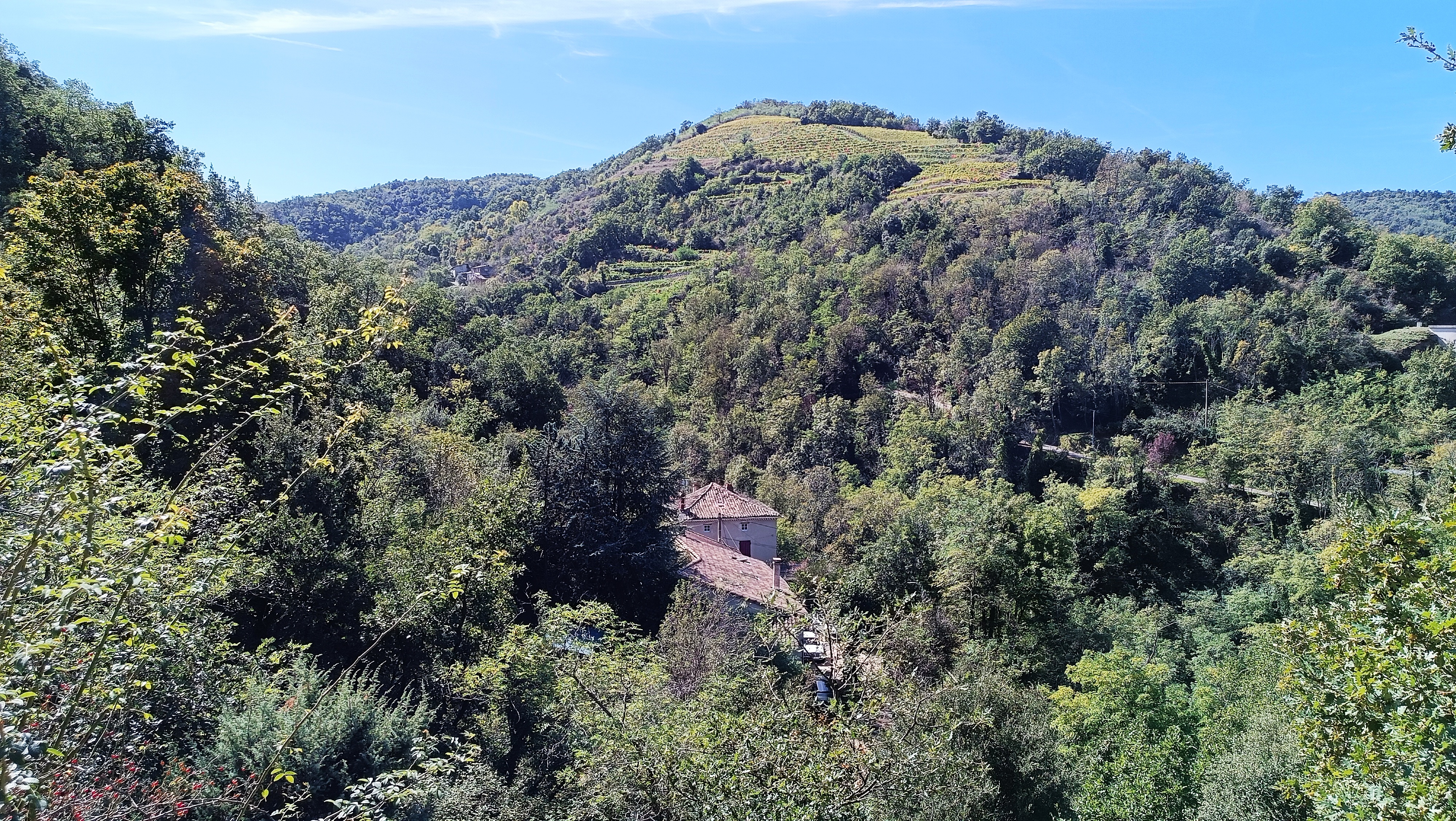 Vu depuis le haut de la propriété